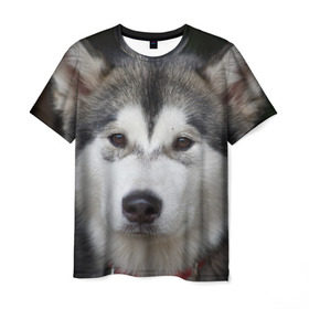 Мужская футболка 3D с принтом Хаски в Кировске, 100% полиэфир | прямой крой, круглый вырез горловины, длина до линии бедер | Тематика изображения на принте: волк | маламут | собака | хаски | щенок