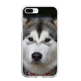 Чехол для iPhone 7Plus/8 Plus матовый с принтом Хаски в Кировске, Силикон | Область печати: задняя сторона чехла, без боковых панелей | волк | маламут | собака | хаски | щенок
