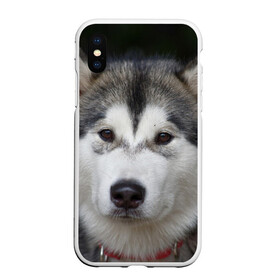 Чехол для iPhone XS Max матовый с принтом Хаски в Кировске, Силикон | Область печати: задняя сторона чехла, без боковых панелей | волк | маламут | собака | хаски | щенок