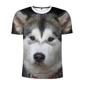 Мужская футболка 3D спортивная с принтом Хаски в Кировске, 100% полиэстер с улучшенными характеристиками | приталенный силуэт, круглая горловина, широкие плечи, сужается к линии бедра | волк | маламут | собака | хаски | щенок