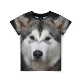 Детская футболка 3D с принтом Хаски в Кировске, 100% гипоаллергенный полиэфир | прямой крой, круглый вырез горловины, длина до линии бедер, чуть спущенное плечо, ткань немного тянется | Тематика изображения на принте: волк | маламут | собака | хаски | щенок