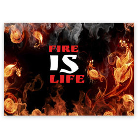 Поздравительная открытка с принтом Fire is life (Огонь это жизнь) в Кировске, 100% бумага | плотность бумаги 280 г/м2, матовая, на обратной стороне линовка и место для марки
 | Тематика изображения на принте: fire | is | life | алфавит | английский | большие | буквы | горит | жар | клевая | надпись | огонь | огонь это жизнь | пламя | пожар | полымя | прикольная | пыл | свет | слово | цитата