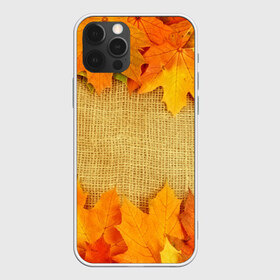 Чехол для iPhone 12 Pro Max с принтом Foliage в Кировске, Силикон |  | листья | осень