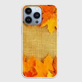 Чехол для iPhone 13 Pro с принтом Foliage в Кировске,  |  | Тематика изображения на принте: листья | осень