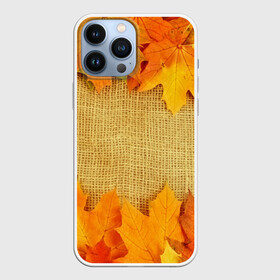 Чехол для iPhone 13 Pro Max с принтом Foliage в Кировске,  |  | Тематика изображения на принте: листья | осень