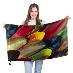 Флаг 3D с принтом Перья в Кировске, 100% полиэстер | плотность ткани — 95 г/м2, размер — 67 х 109 см. Принт наносится с одной стороны | перо | попугай | птица | радуга | радужный