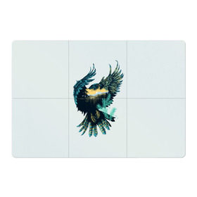 Магнитный плакат 3Х2 с принтом Орел в Кировске, Полимерный материал с магнитным слоем | 6 деталей размером 9*9 см | Тематика изображения на принте: беркут | кречет | орел | природа | птица | ястреб