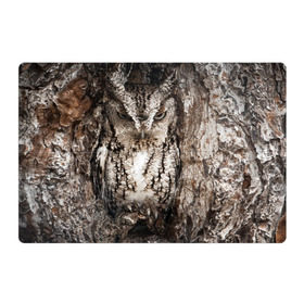 Магнитный плакат 3Х2 с принтом Камуфляж сова в Кировске, Полимерный материал с магнитным слоем | 6 деталей размером 9*9 см | дерево | пернатая | птица | филин