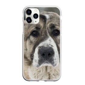 Чехол для iPhone 11 Pro матовый с принтом САО (алабай) в Кировске, Силикон |  | большая огромная | грозная | добрая | друг человека | животное | красивая | милая | пес | породистая собака | породы | прикольная | сао алабай | щенок