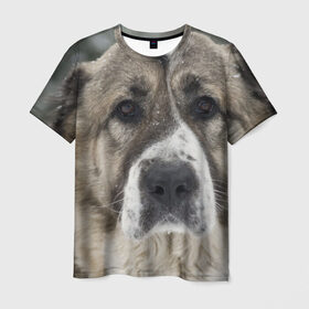 Мужская футболка 3D с принтом САО (алабай) в Кировске, 100% полиэфир | прямой крой, круглый вырез горловины, длина до линии бедер | большая огромная | грозная | добрая | друг человека | животное | красивая | милая | пес | породистая собака | породы | прикольная | сао алабай | щенок