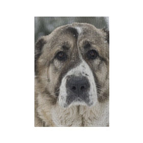 Обложка для паспорта матовая кожа с принтом САО (алабай) в Кировске, натуральная матовая кожа | размер 19,3 х 13,7 см; прозрачные пластиковые крепления | большая огромная | грозная | добрая | друг человека | животное | красивая | милая | пес | породистая собака | породы | прикольная | сао алабай | щенок