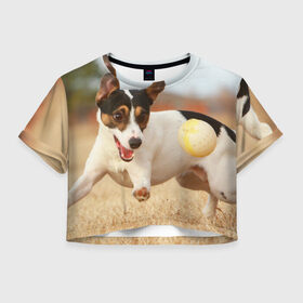 Женская футболка 3D укороченная с принтом Счастье в Кировске, 100% полиэстер | круглая горловина, длина футболки до линии талии, рукава с отворотами | друг человека | животное | игра | красивая | ловит | маленький | милая | мяч | на природе | пес | породистая собака | породы | прикольная | счастливый | щенок