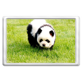 Магнит 45*70 с принтом Пес панда в Кировске, Пластик | Размер: 78*52 мм; Размер печати: 70*45 | 