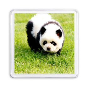 Магнит 55*55 с принтом Пес панда в Кировске, Пластик | Размер: 65*65 мм; Размер печати: 55*55 мм | 