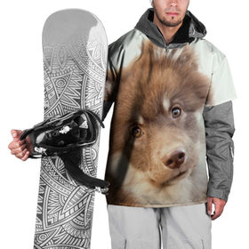 Накидка на куртку 3D с принтом Милый в Кировске, 100% полиэстер |  | друг человека | животное | красивая | маленький | милая | милый взгляд | пес | песик | породистая собака | породы | прикольная | рыжий | щенок