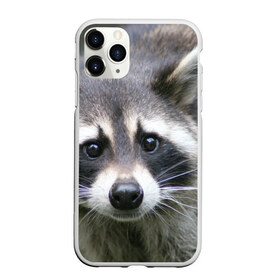 Чехол для iPhone 11 Pro матовый с принтом Озадаченный енот в Кировске, Силикон |  | добрый | енот | животное | зверек | зверь | красивый | милое | милый | полоски серые | полоскун | прикольный | природа | усатый | фауна | флора | хищник | черный | шерсть