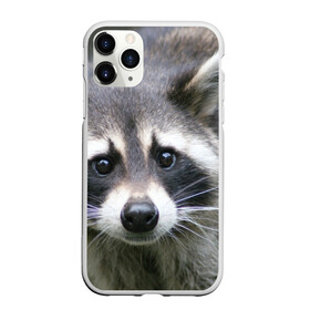 Чехол для iPhone 11 Pro Max матовый с принтом Озадаченный енот в Кировске, Силикон |  | добрый | енот | животное | зверек | зверь | красивый | милое | милый | полоски серые | полоскун | прикольный | природа | усатый | фауна | флора | хищник | черный | шерсть
