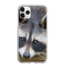 Чехол для iPhone 11 Pro матовый с принтом Енот в Кировске, Силикон |  | барсук | добрый | енот | животное | зверек | зверь | красивый | крошка | милое | милый | полоски серые | полоскун | прикольный | природа | скунс | усатый | фауна | флора | хищник | черный | шерсть