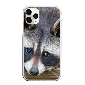 Чехол для iPhone 11 Pro Max матовый с принтом Енот в Кировске, Силикон |  | барсук | добрый | енот | животное | зверек | зверь | красивый | крошка | милое | милый | полоски серые | полоскун | прикольный | природа | скунс | усатый | фауна | флора | хищник | черный | шерсть