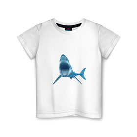 Детская футболка хлопок с принтом Акула в Кировске, 100% хлопок | круглый вырез горловины, полуприлегающий силуэт, длина до линии бедер | shark | челюсти