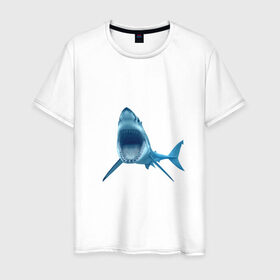 Мужская футболка хлопок с принтом Акула в Кировске, 100% хлопок | прямой крой, круглый вырез горловины, длина до линии бедер, слегка спущенное плечо. | shark | челюсти