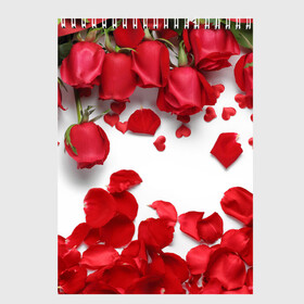 Скетчбук с принтом Сильные чуства в Кировске, 100% бумага
 | 48 листов, плотность листов — 100 г/м2, плотность картонной обложки — 250 г/м2. Листы скреплены сверху удобной пружинной спиралью | желтый | красный | любовь | новинки | подарок | розы | сердце | текстура | тюльпаны | цветы