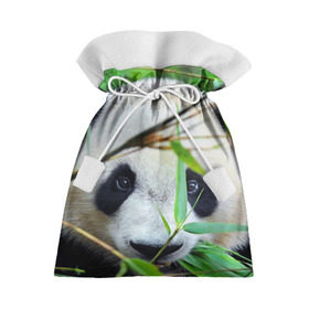 Подарочный 3D мешок с принтом Панда в лесу в Кировске, 100% полиэстер | Размер: 29*39 см | Тематика изображения на принте: бамбук | животное | медведь