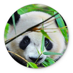 Коврик круглый с принтом Панда в лесу в Кировске, резина и полиэстер | круглая форма, изображение наносится на всю лицевую часть | бамбук | животное | медведь