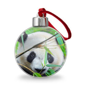 Ёлочный шар с принтом Панда в лесу в Кировске, Пластик | Диаметр: 77 мм | Тематика изображения на принте: бамбук | животное | медведь