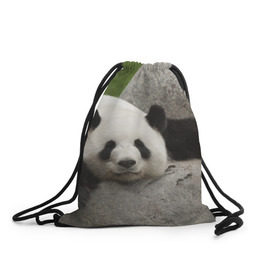 Рюкзак-мешок 3D с принтом Панда на камушке в Кировске, 100% полиэстер | плотность ткани — 200 г/м2, размер — 35 х 45 см; лямки — толстые шнурки, застежка на шнуровке, без карманов и подкладки | бамбук | животное | медведь
