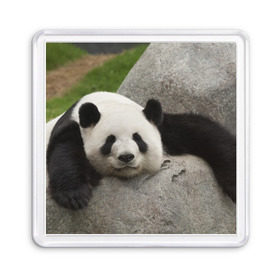 Магнит 55*55 с принтом Панда на камушке в Кировске, Пластик | Размер: 65*65 мм; Размер печати: 55*55 мм | бамбук | животное | медведь