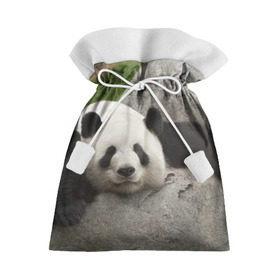Подарочный 3D мешок с принтом Панда на камушке в Кировске, 100% полиэстер | Размер: 29*39 см | Тематика изображения на принте: бамбук | животное | медведь