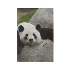 Обложка для паспорта матовая кожа с принтом Панда на камушке в Кировске, натуральная матовая кожа | размер 19,3 х 13,7 см; прозрачные пластиковые крепления | Тематика изображения на принте: бамбук | животное | медведь