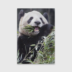 Обложка для паспорта матовая кожа с принтом Панда кушает в Кировске, натуральная матовая кожа | размер 19,3 х 13,7 см; прозрачные пластиковые крепления | бамбук | животное | медведь