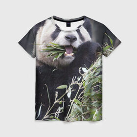 Женская футболка 3D с принтом Панда кушает в Кировске, 100% полиэфир ( синтетическое хлопкоподобное полотно) | прямой крой, круглый вырез горловины, длина до линии бедер | бамбук | животное | медведь