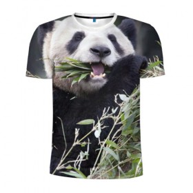 Мужская футболка 3D спортивная с принтом Панда кушает в Кировске, 100% полиэстер с улучшенными характеристиками | приталенный силуэт, круглая горловина, широкие плечи, сужается к линии бедра | бамбук | животное | медведь