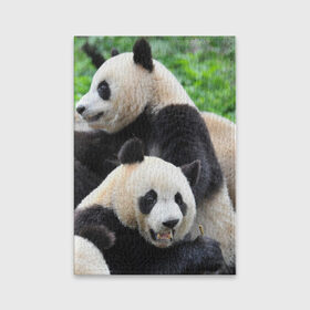 Обложка для паспорта матовая кожа с принтом Панды в Кировске, натуральная матовая кожа | размер 19,3 х 13,7 см; прозрачные пластиковые крепления | бамбук | животное | медведь