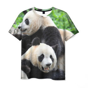 Мужская футболка 3D с принтом Панды в Кировске, 100% полиэфир | прямой крой, круглый вырез горловины, длина до линии бедер | бамбук | животное | медведь