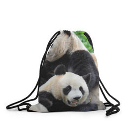 Рюкзак-мешок 3D с принтом Панды в Кировске, 100% полиэстер | плотность ткани — 200 г/м2, размер — 35 х 45 см; лямки — толстые шнурки, застежка на шнуровке, без карманов и подкладки | бамбук | животное | медведь