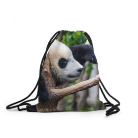 Рюкзак-мешок 3D с принтом Бамбуковый медведь в Кировске, 100% полиэстер | плотность ткани — 200 г/м2, размер — 35 х 45 см; лямки — толстые шнурки, застежка на шнуровке, без карманов и подкладки | бамбук | животное | медведь