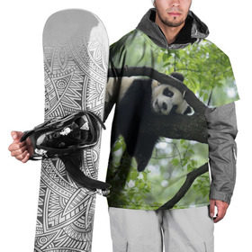 Накидка на куртку 3D с принтом Панда спит на ветке в Кировске, 100% полиэстер |  | Тематика изображения на принте: бамбук | животное | медведь