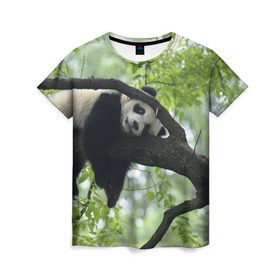 Женская футболка 3D с принтом Панда спит на ветке в Кировске, 100% полиэфир ( синтетическое хлопкоподобное полотно) | прямой крой, круглый вырез горловины, длина до линии бедер | бамбук | животное | медведь