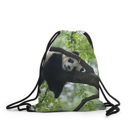 Рюкзак-мешок 3D с принтом Панда спит на ветке в Кировске, 100% полиэстер | плотность ткани — 200 г/м2, размер — 35 х 45 см; лямки — толстые шнурки, застежка на шнуровке, без карманов и подкладки | бамбук | животное | медведь