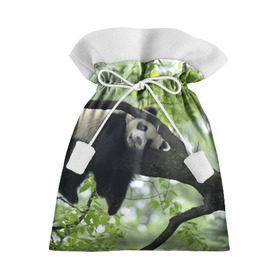 Подарочный 3D мешок с принтом Панда спит на ветке в Кировске, 100% полиэстер | Размер: 29*39 см | бамбук | животное | медведь