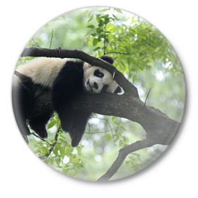 Значок с принтом Панда спит на ветке в Кировске,  металл | круглая форма, металлическая застежка в виде булавки | Тематика изображения на принте: бамбук | животное | медведь