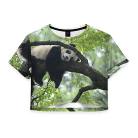Женская футболка 3D укороченная с принтом Панда спит на ветке в Кировске, 100% полиэстер | круглая горловина, длина футболки до линии талии, рукава с отворотами | бамбук | животное | медведь