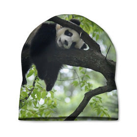 Шапка 3D с принтом Панда спит на ветке в Кировске, 100% полиэстер | универсальный размер, печать по всей поверхности изделия | бамбук | животное | медведь