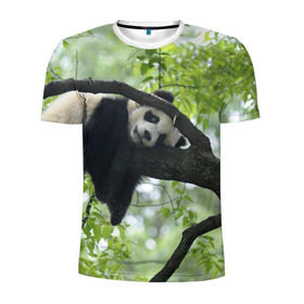 Мужская футболка 3D спортивная с принтом Панда спит на ветке в Кировске, 100% полиэстер с улучшенными характеристиками | приталенный силуэт, круглая горловина, широкие плечи, сужается к линии бедра | бамбук | животное | медведь