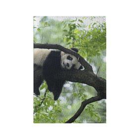 Обложка для паспорта матовая кожа с принтом Панда спит на ветке в Кировске, натуральная матовая кожа | размер 19,3 х 13,7 см; прозрачные пластиковые крепления | бамбук | животное | медведь