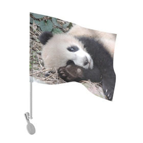 Флаг для автомобиля с принтом Лапка панда в Кировске, 100% полиэстер | Размер: 30*21 см | бамбук | животное | медведь